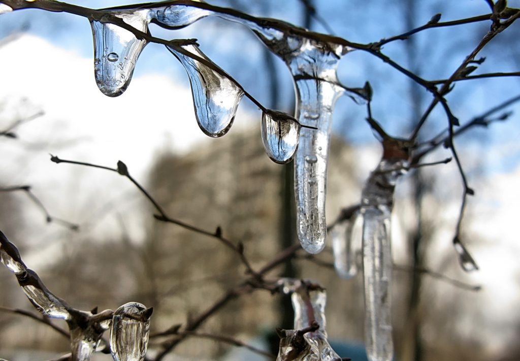 В Приморье ожидается повышение среднесуточных температур.